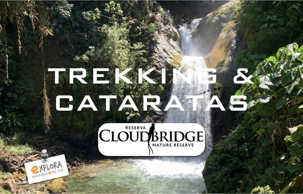 TREKKING & CATARATAS – RESERVA CLOUDBRIDGE