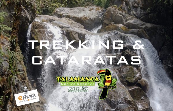 TREKKING & CATARATAS – RESERVA TALAMANCA